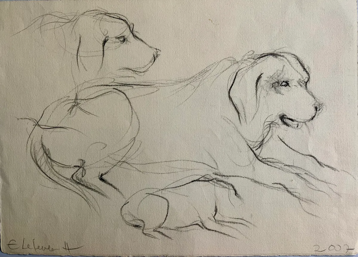 Obra "Apuntes de perrito Viejo I" de Eva Lefever