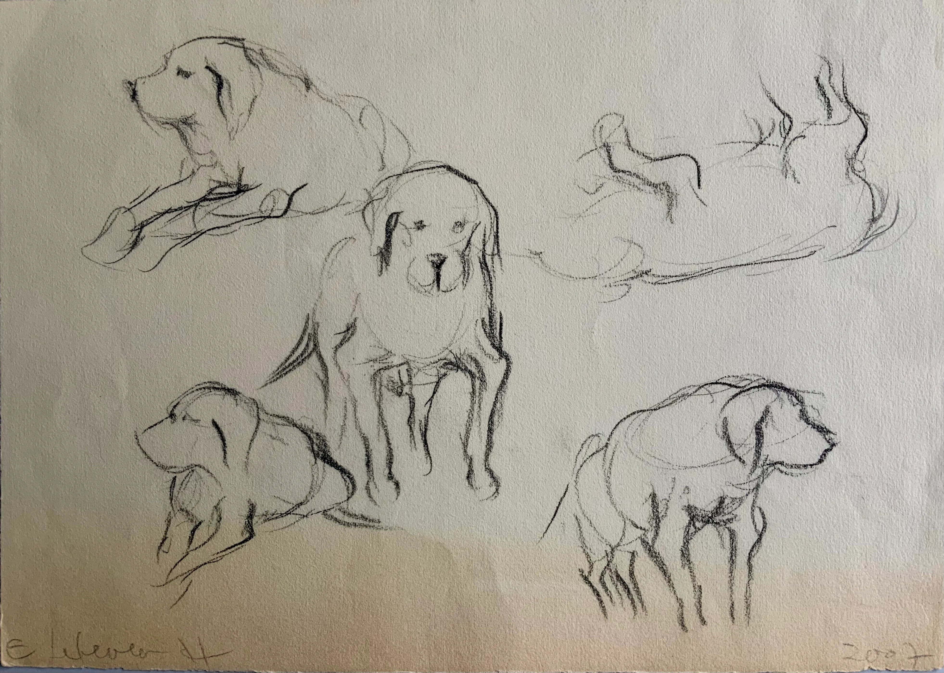 Obra "Apuntes de perrito viejo" de Eva Lefever